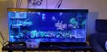 20190831_133520.jpg