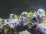20191106_162953.jpg
