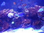 DSC01313.JPG