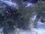 20200125_002739.jpg 20200125_002739.jpg