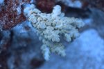IMG_4963.JPG