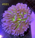 41F55006-1BF6-4DB9-87B3-F810143383A2.jpeg