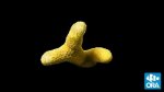37667B05-B0F2-491A-BF48-DC80092CAA1C.jpeg
