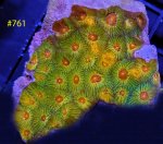 0EAD5BEB-2EEA-41C5-A124-96A103F3E222.jpeg