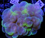 928F09AC-4DD7-480A-9403-3D858E59EE7C.jpeg