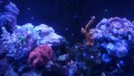 20210407_213954.jpg