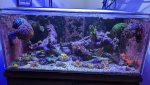 PXL_20210608_211139906.jpg