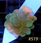 17240E87-937D-41C6-B426-63A03EEC8DB6.jpeg