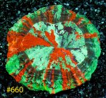 660.jpg