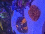 86241AC1-688C-41D8-856E-BE03A821B858.jpeg
