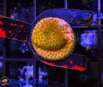 37506AF9-0D99-46E7-AB76-72A9C70D346F.jpeg
