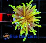 0A50309B-19E3-4445-80C7-76F761588F1C.jpeg