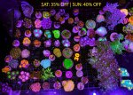 7E5326C9-B420-454D-88B3-8B8F9784C317.jpeg