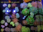 BB0A074E-68CE-4F4A-BC3C-1E62DAFE4F2B.jpeg