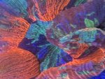 28D4C1B6-CA61-44D0-846F-E51D0A58702F.jpeg