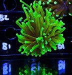 IMG_8014.jpeg