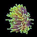 IMG_6625.jpeg