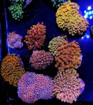 IMG_8219.jpeg