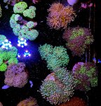 IMG_8209.jpeg