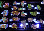 IMG_8167.jpeg