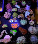 IMG_8172.jpeg