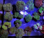 IMG_8216.jpeg