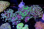 IMG_8224.jpeg