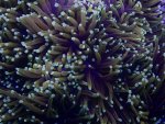 IMG_0566.jpeg
