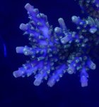 IMG_0555.jpeg