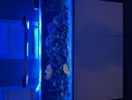 IMG_6390.jpeg