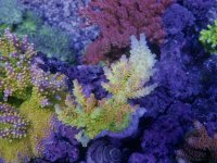 IMG_2792.jpeg