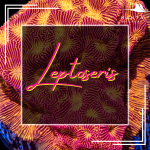 Lepto.png