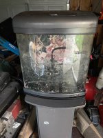 IMG_1058.jpeg .jpg