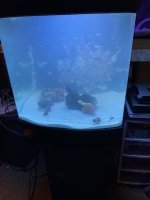 IMG_1061.jpeg