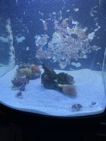 IMG_1062.jpeg