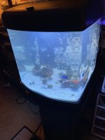 IMG_1065.jpeg