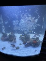 IMG_1064.jpeg