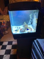 IMG_1067.jpeg