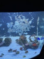 IMG_1069.jpeg