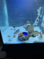 IMG_1075.jpeg