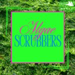 Algae Scubbers.jpg