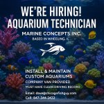 marine concepts.jpg marine concepts.jpg