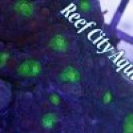 Reef City