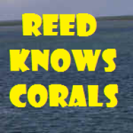 ReedKnowsCorals