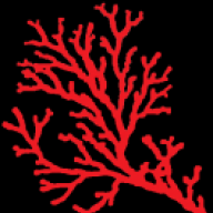 CoralCompulsion