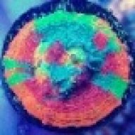 CORAL_JUNKY