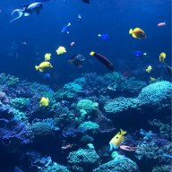 MarineLifeAquatics