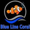 Blue Line Coral